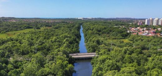 Efeito Estufa no Ceará