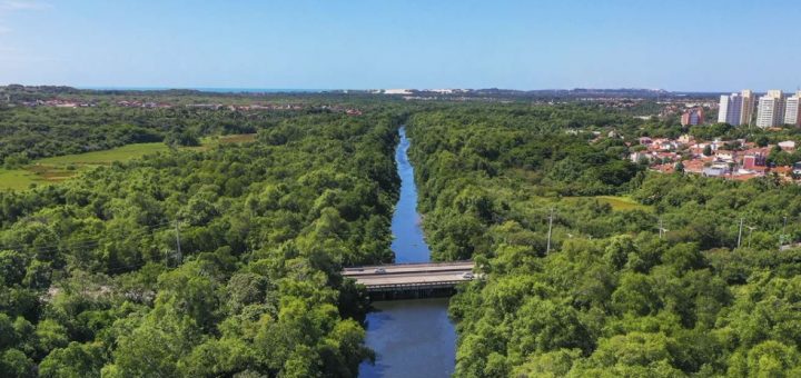 Efeito Estufa no Ceará