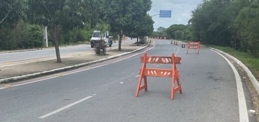 Barreiras e lombadas são instaladas no bairro Belchior para reduzir velocidades para proteção das garças em fase de reprodução