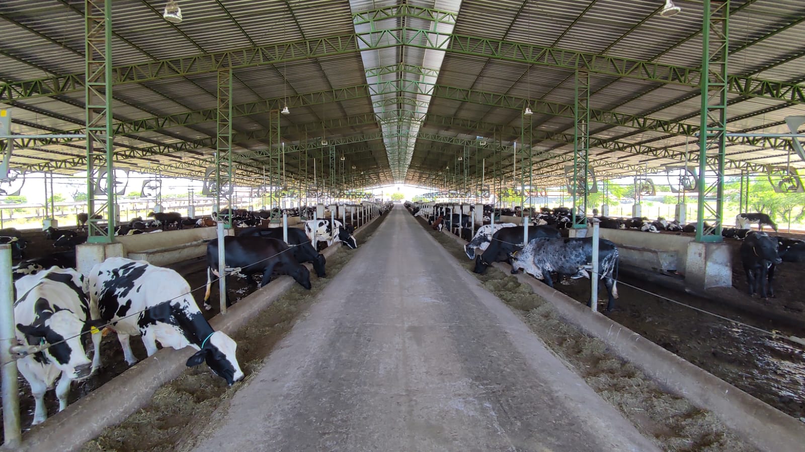 Calouros de Medicina Veterinária recebem aula de campo na Fazenda Thanks em Umirim