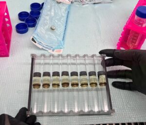 Nasa esperimentos biológicos